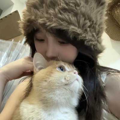 南方的愿望